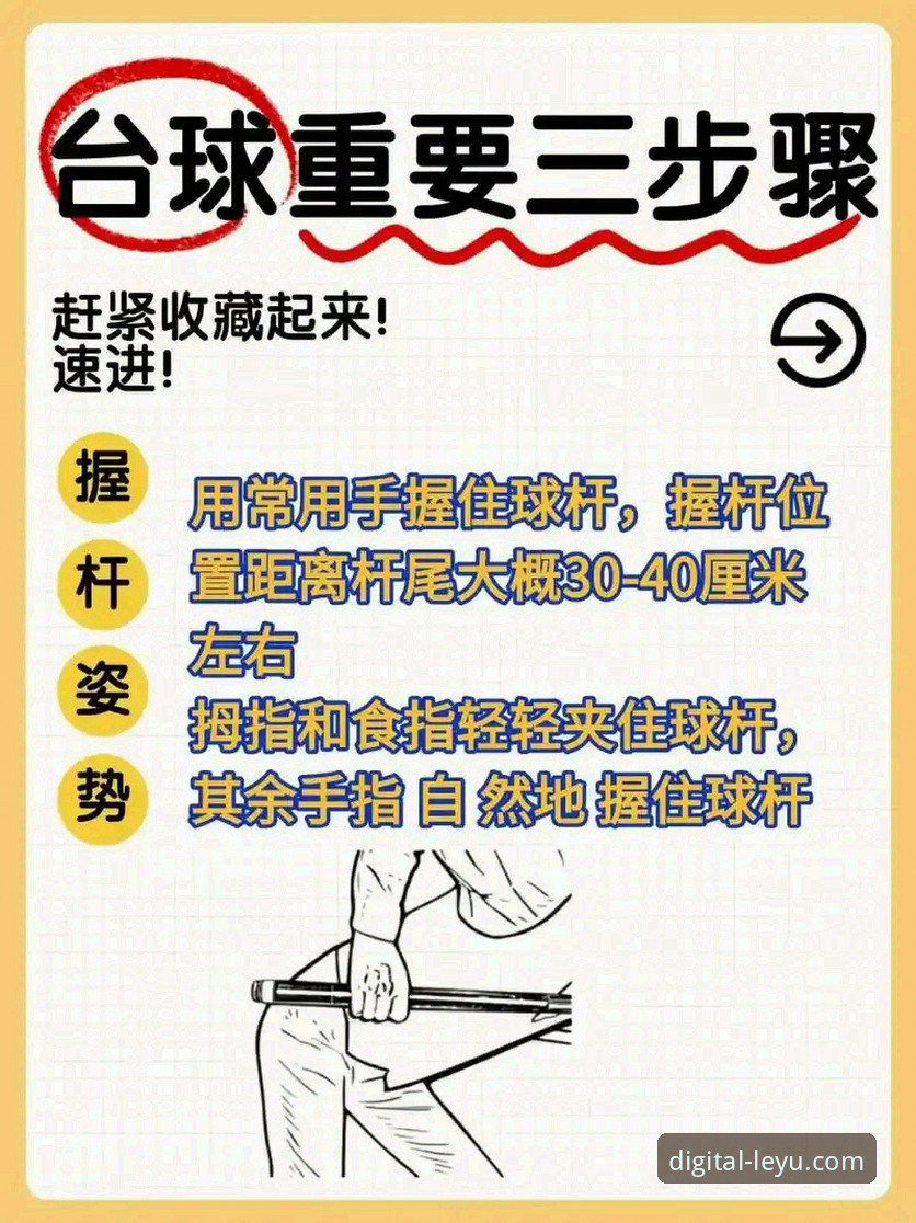 乐鱼体育平台的5个关键功能：快速上手与实用技巧